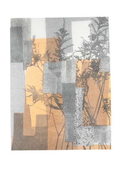 Herbārium V | litografia | 56 x 38 cm | 2016
